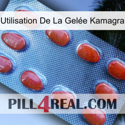 Utilisation De La Gelée Kamagra 06